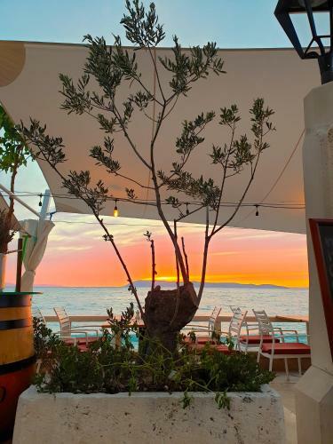 Aparthotel Villa Primordia