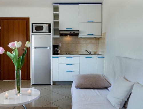 Luxury Villa Miljak