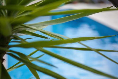 Villa Heritage Villa In Podgora, Private Pool