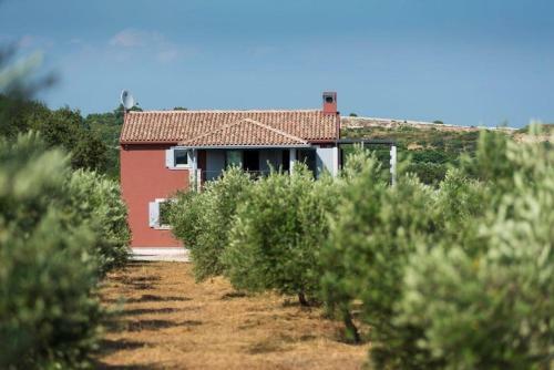 Astonishing Pool Villa In Pomer Immersed In An Olive Orchard