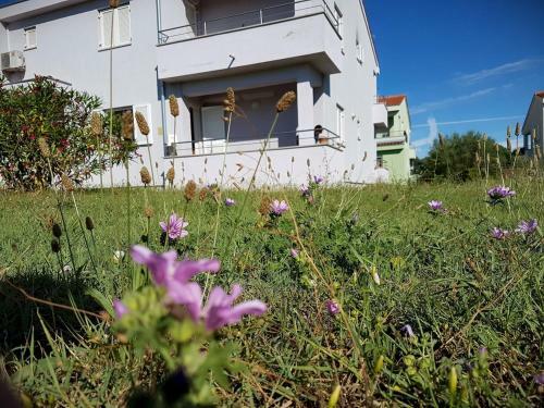 Apartment Vitalia 2+2