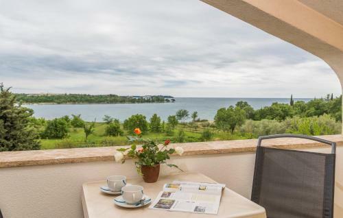 Hostal Apartments Saladinka