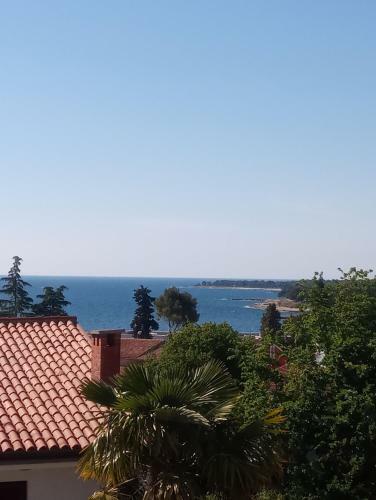 Elena Apartment 2 Porec