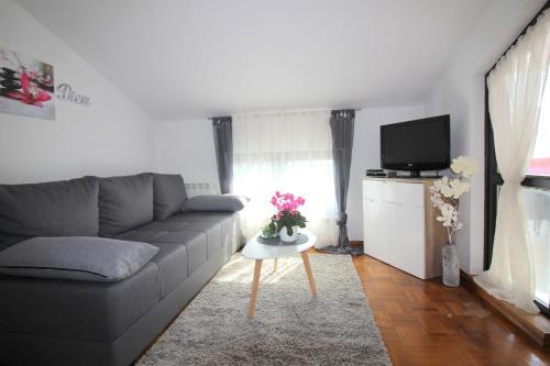 Apartment Vista