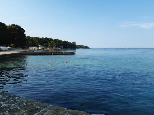 Apartment Mariza A4 Plus 2 Beds Beach Area Of Porec