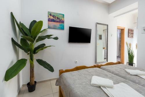Chic Apartments In Pore? Old Town