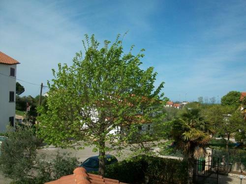 Hostal Apartments Katja With Garden And Pool