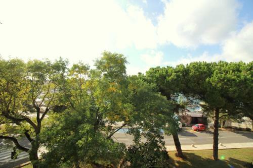 Apartment Agata In City Center