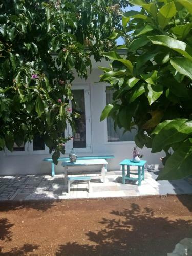 Apartamentos Art House Premantura