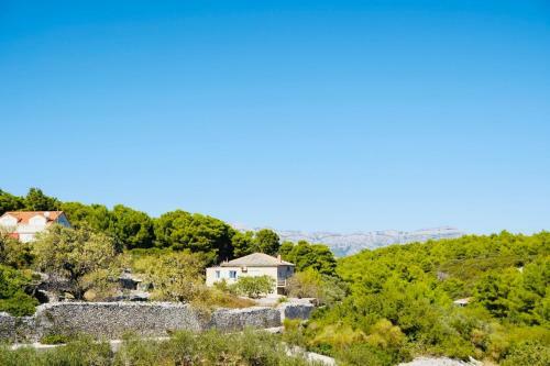 Apartamentos Villa Tonika
