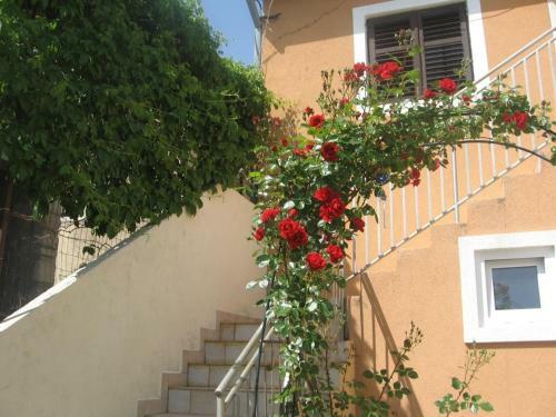 Apartment Prvic (3347)