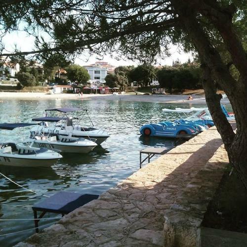 Bed & Breakfast Villa Andrea