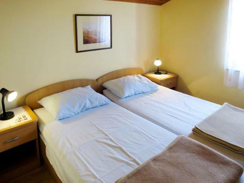 Apartment Ru?a-3