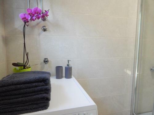 Hostal Apartments Mira
