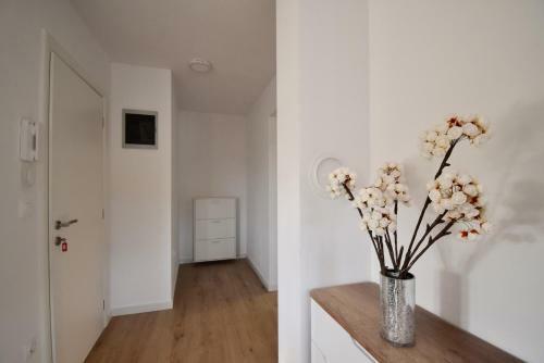 Hostal Apartments Mira