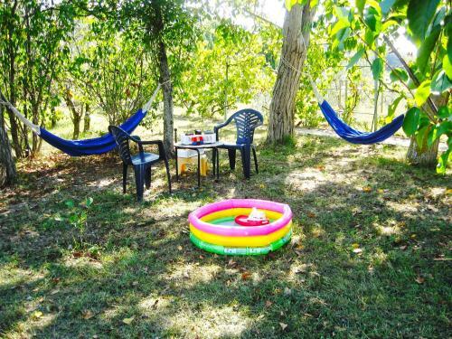 Apartments Josip 74