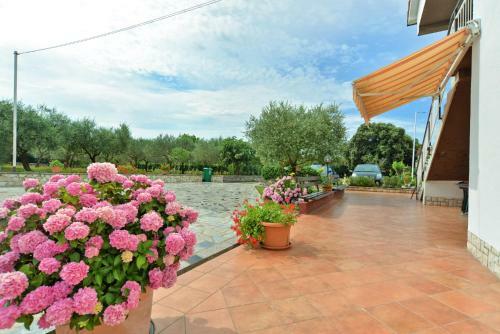 Hostal Apartment & Room Tanja 1552