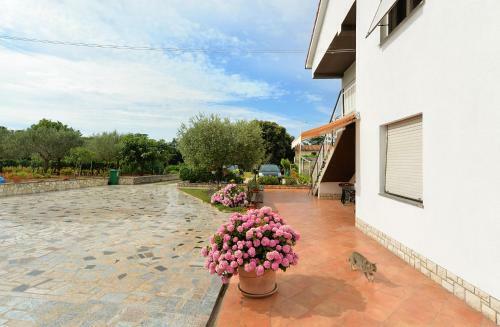 Hostal Apartment & Room Tanja 1552