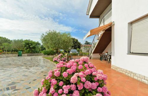 Hostal Apartment & Room Tanja 1552