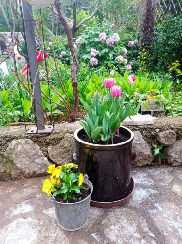 House Rustica With Private Garden And Parking