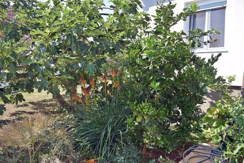 Casa Istriana - Heart Of Nature