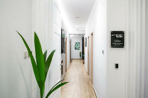 Hostal Teatro Suite & Rooms