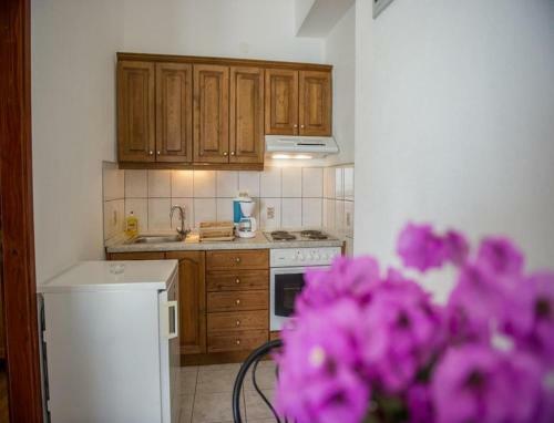 Apartments Zdrave-with Parking
