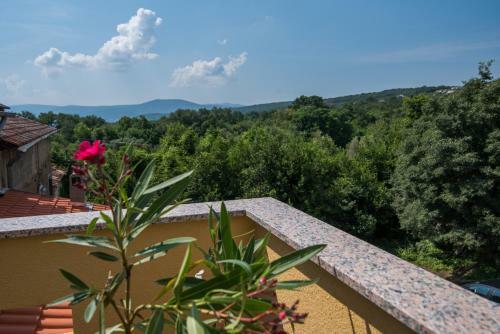 Holiday House Svjetlana