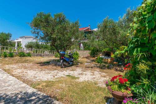 Apartments Nena