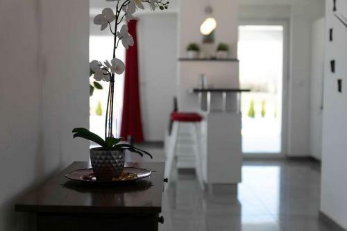 Villa Sofia