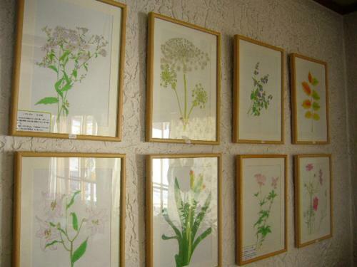 Bed & Breakfast Gallery & Lodge Noichigo