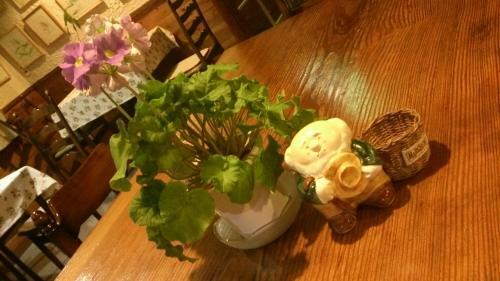 Bed & Breakfast Gallery & Lodge Noichigo