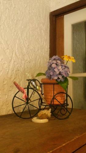 Bed & Breakfast Gallery & Lodge Noichigo