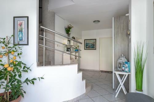 Apartment Alenka