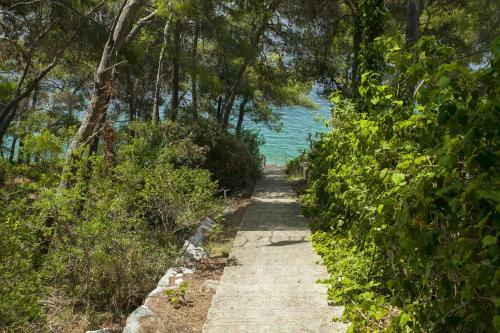 Apartment Ante-50m From Beach