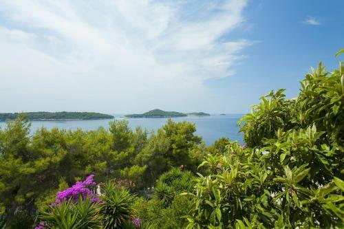 Apartment Ante-50m From Beach