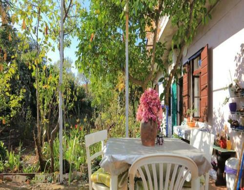 Apartments Rosa - With Parking