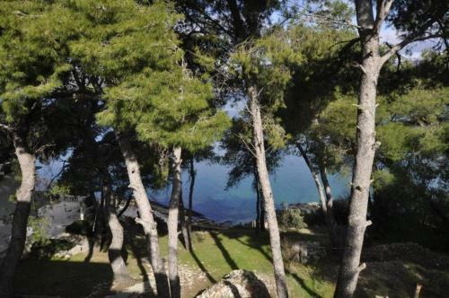 Apartments Eden - 30m From The Sea