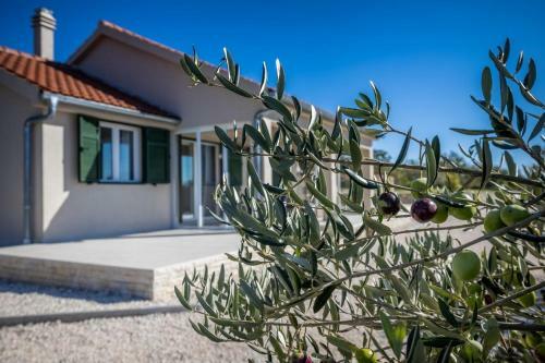 Villa Oliveto Smil?i?