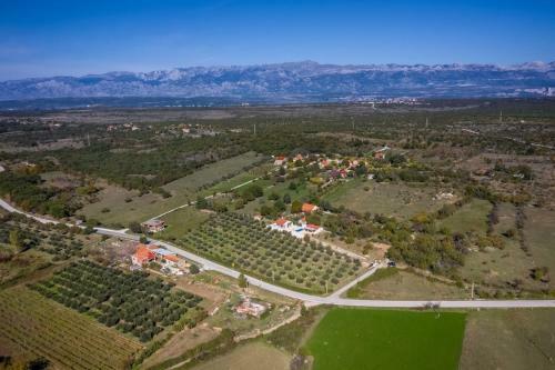Villa Oliveto Smil?i?