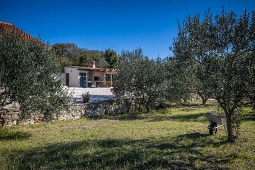 Villa Oliveto Smil?i?
