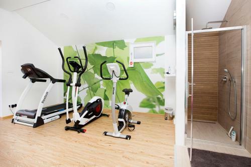 Apartment Sasso