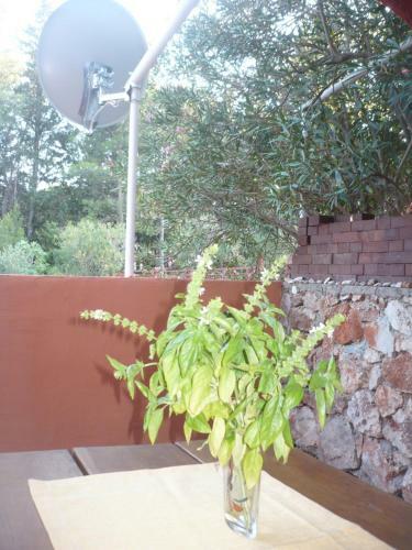 Impeccable 2-bed Apartment In Stari Grad