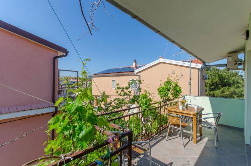 Apartments Sklopina
