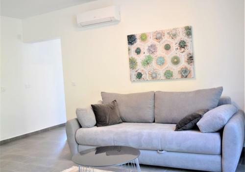 Hostal Apartment House Dodik In Tar