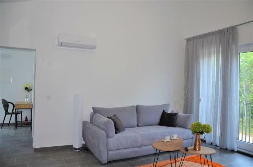 Hostal Apartment House Dodik In Tar
