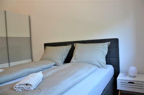 Hostal Apartment House Dodik In Tar