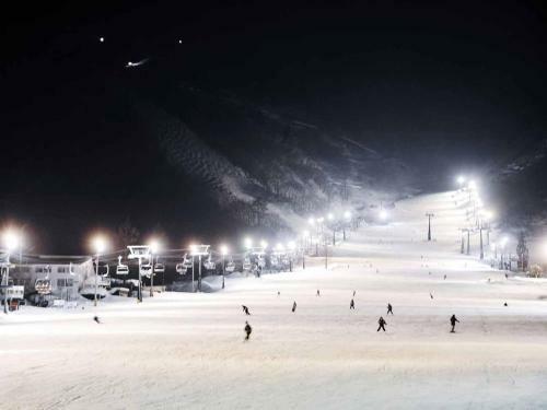 Hakuba Park Hotel
