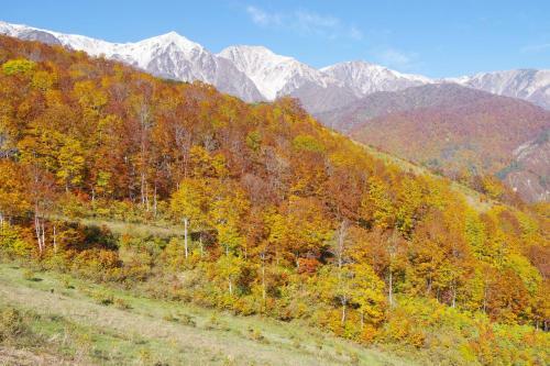 Posada Hakuba Ski-kan