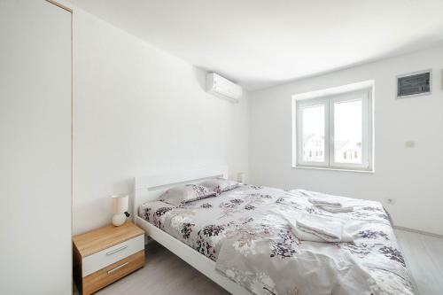 Hostal Apartments Paola